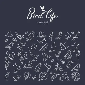 Vector flat birds icon set in thin line style. Simple minimalistic bird logo. Stock Illustration