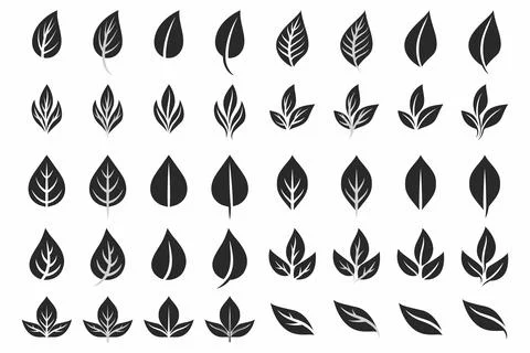 Vector Flat Black and White Leaf Icon Set Isolated. Leaves Collection, Design Stock Illustration