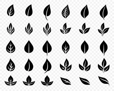 Vector Flat Black and White Leaf Icon Set Isolated. Leaves Collection, Design Stock Illustration