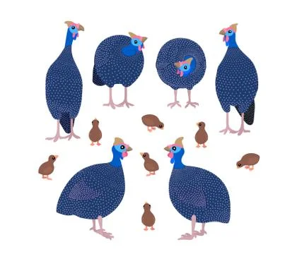 Vector flat cartoon animal clip art Stock Illustration
