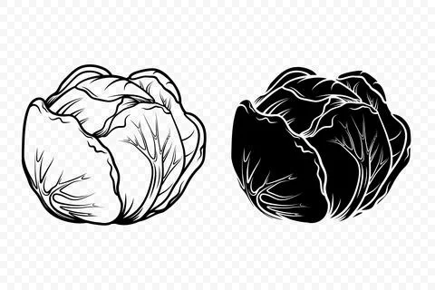 Vector Flat Cartoon Style Black and White Cabbage Set. Detailed Cabbage Head Ilustración de archivo