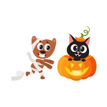 Vector flat cat sitting at pumpkin, mummy dog Stock Illustration