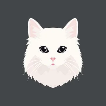 Vector Flat Cats Eye of a White Cat. Cat Face with Eyes, Nose, Whiskers Icon Set Stock Illustration