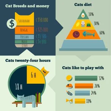 Vector flat cats life infographic Stock Illustration