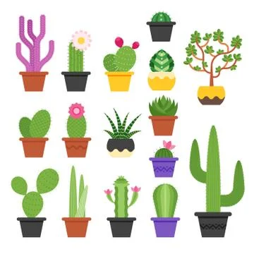 Vector flat colorful set of various cactus Stock Illustration