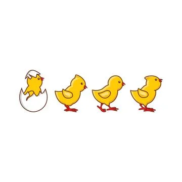 Vector flat cute chick hatching Stock Illustration