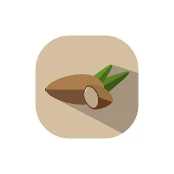 Vector flat design almond hazel nut Stock Illustration