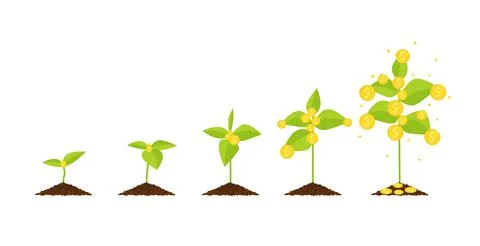 Vector flat design growing money tree step by step concept business saving in Stock Illustration