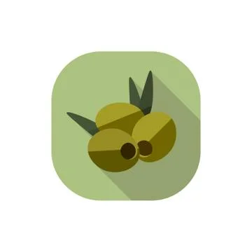 Vector flat design olives Stock Illustration