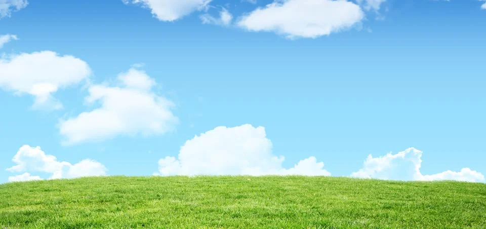 Vector flat design is showing gently rolling green meadow under bright blue sky Stock Photos