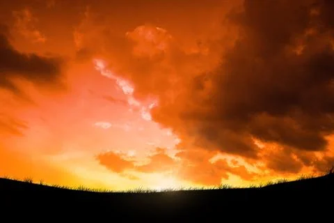 Vector flat design showing grass blades being silhouetted against glowing orange Stock Photos