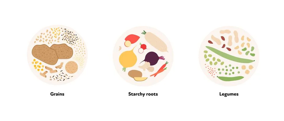 Vector flat design of various grains, starchy roots and legumes symbol Stock Illustration