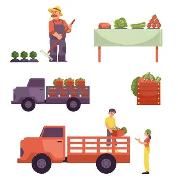 Vector flat farmer products delivery process set Illustrazione stock
