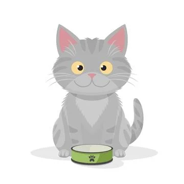 Vector Flat Gray Tabby Cat with Green Pets Bowl. Cartoon Cat Icon Isolated Stock Illustration