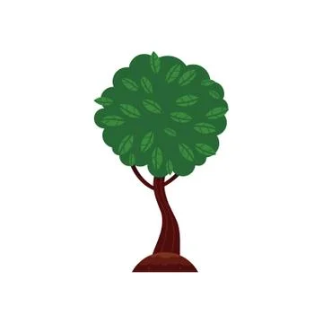 Vector flat green abstract tree with foliage icon Stock Illustration