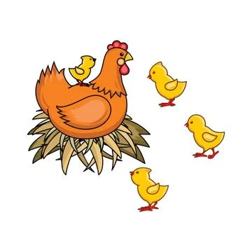 Vector flat hand drawn chicken in nest, chicks set 스톡 일러스트