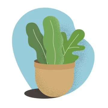 Vector flat house plant pot illustration. Colorful house plant in pot for your Stock Illustration