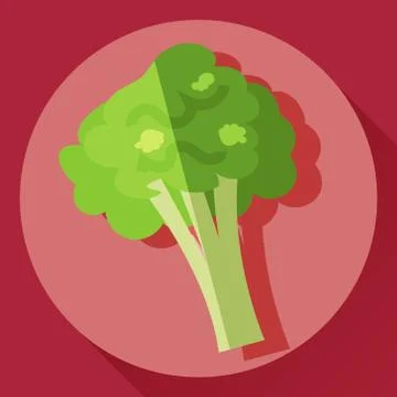 Vector flat icon of broccoli Stock Illustration