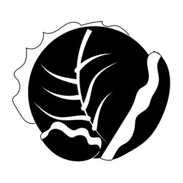 Vector flat icon of cabbage Stock Illustration