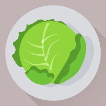 Vector flat icon of green cabbage Stock Illustration