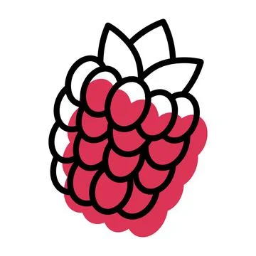 Vector flat icon raspberry. On a white background Stock Illustration