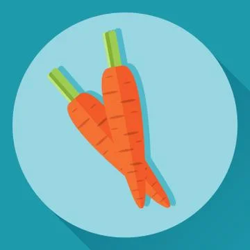 Vector flat icon of two carrots with green stem Stock Illustration