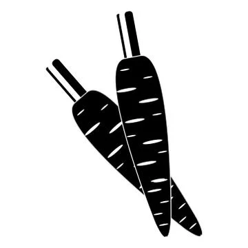 Vector flat icon of two carrots with stems Stock Illustration