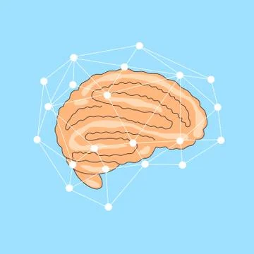 Vector flat illustration of brain with network of line around it. Cerebral Stock Illustration