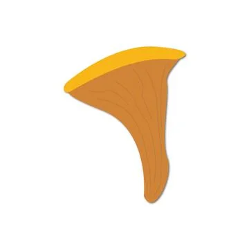 Vector flat illustration. Chanterelle mushroom icon on a white background Stock Illustration