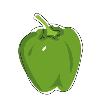 Vector flat illustration of green pepper on a white background Stock Illustration