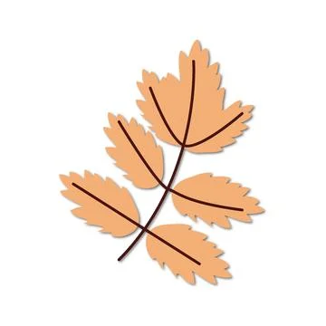 Vector flat illustration. Leaf icon on a white background. Perfect as a symbol イラスト素材