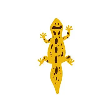 Vector flat illustration of leopard gecko top view. Yellow lizard in brown spots Stock Illustration