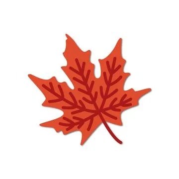 Vector flat illustration. Maple leaf icon on a white background. Perfect as a イラスト素材