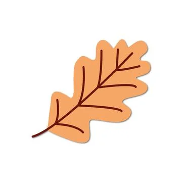 Vector flat illustration. Oak leaf icon on a white background. Perfect as a イラスト素材