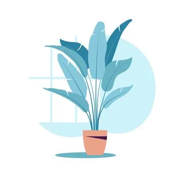 Vector flat illustration plant in pot. Potted plants isolated on white. Stock Illustration