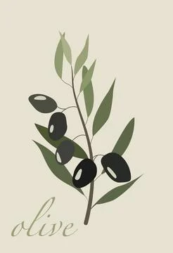 Vector flat illustration. Poster in pastel colors. Twig with leaves and oli.. Stock Illustration
