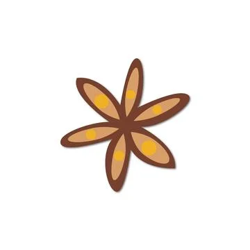 Vector flat illustration. Star anise icon on a white background. Perfect as a Stock Illustration