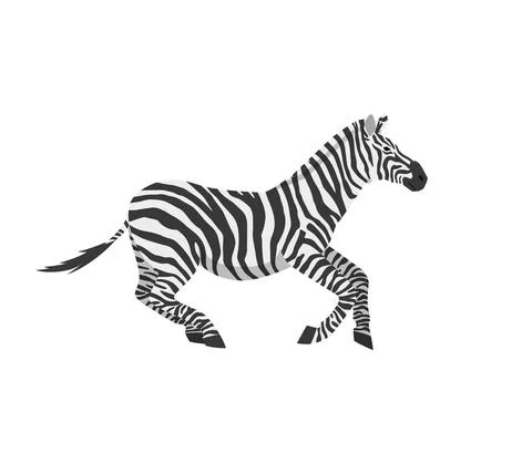 Vector flat illustration of zebra galloping isolated on white background Stock Illustration