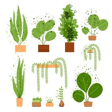 Vector flat interior house and office plant set. House and office trees and Stock Illustration