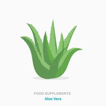 Vector flat isolated icon of food supplements - Aloe Vera plant イラスト素材