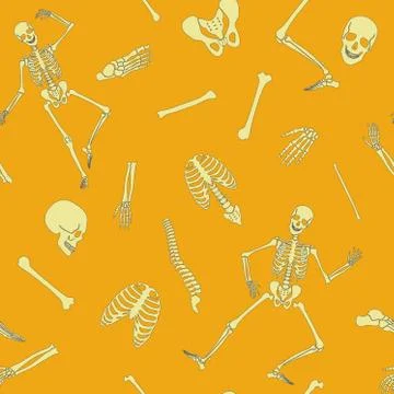 Vector flat line human skeleton seamless pattern with various single bones and Stock Illustration