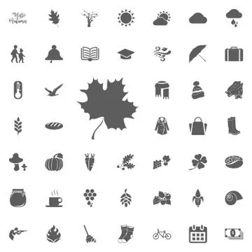 Vector flat maple leaf icon isolated on white. Stock Illustration