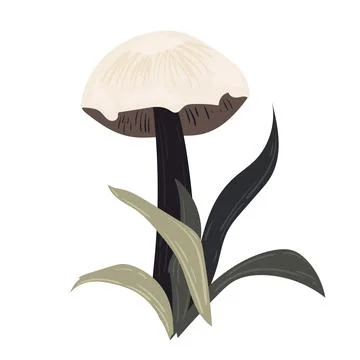 Vector flat mushrooms, pale toadstools. colors sketches, stylized graphics. For Stock Illustration
