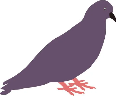 Vector Flat Pigeon Design Illustration Stock Illustration