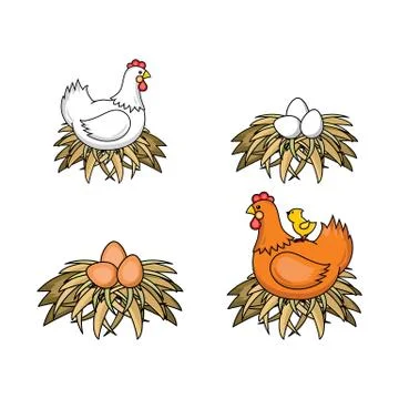 Vector flat poutry, farm chicken set Stock Illustration