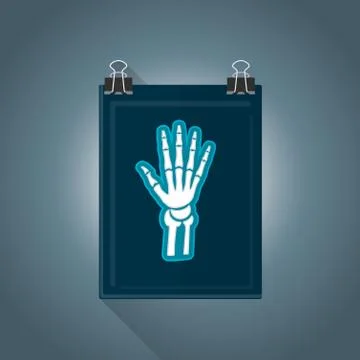 Vector flat radiography illustration icon. Stock Illustration