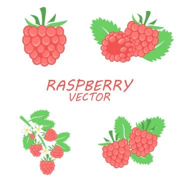 Vector flat raspberry icons set Stock Illustration