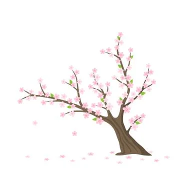 Vector flat Sakura tree isolated. Cherry tree with flowers Stock Illustration