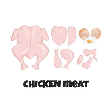 Vector flat set of raw fresh chicken meat parts isolated. Concept design Illustrazione stock