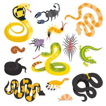 Vector flat snakes and other danger animals collection isolated on white Stock Illustration